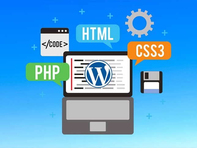 Wordpress web development izrada sajta